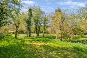 Photo 22- click for photo gallery